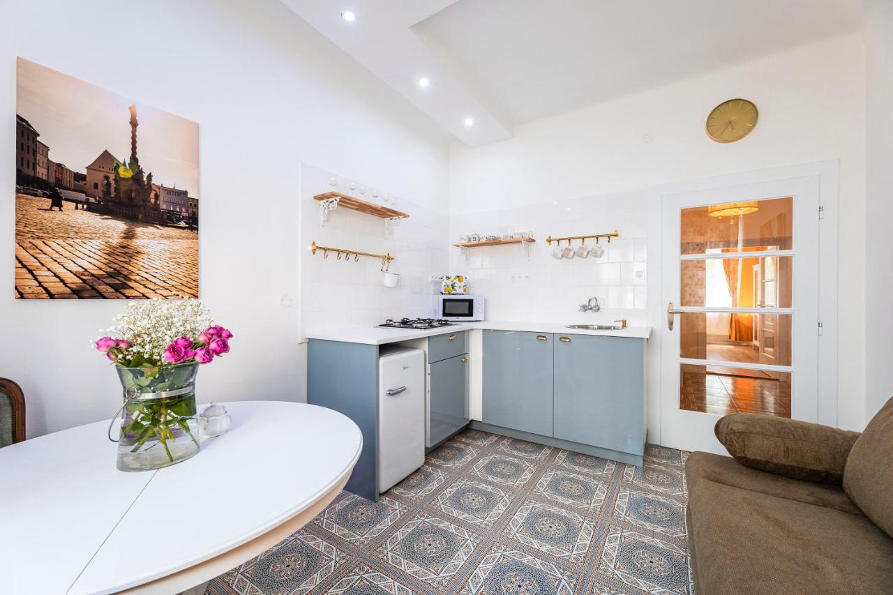 אולומוץ Silvie Apartments - Masaryk Dolni מראה חיצוני תמונה